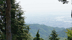 dsc00042_thumb.jpg