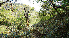 dsc00045_thumb.jpg