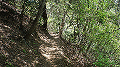dsc00048_thumb.jpg