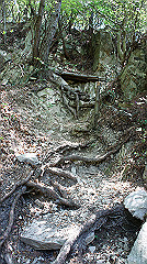 dsc00049_thumb.jpg