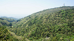 dsc00051_thumb.jpg