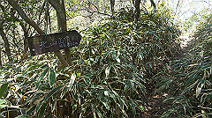 dsc00058_thumb.jpg