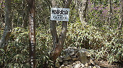 dsc00059_thumb.jpg