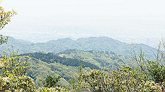 dsc00060_thumb.jpg