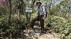 dsc00061_thumb.jpg