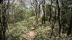 dsc00062_thumb.jpg