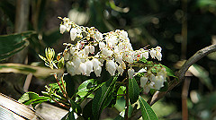 dsc00070_thumb.jpg