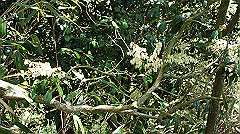 dsc00071_thumb.jpg