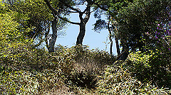 dsc00077_thumb.jpg