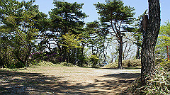 dsc00078_thumb.jpg