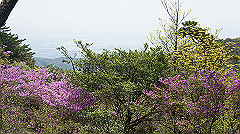 dsc00080_thumb.jpg
