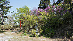 dsc00082_thumb.jpg