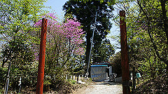 dsc00084_thumb.jpg