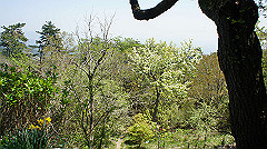 dsc00087_thumb.jpg
