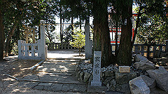 dsc00088_thumb.jpg