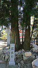 dsc00089_thumb.jpg