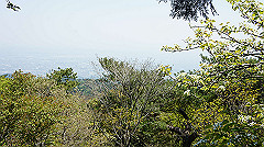 dsc00090_thumb.jpg