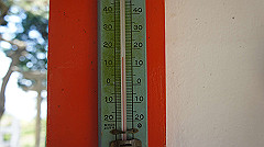 dsc00093_thumb.jpg