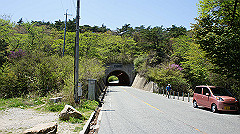 dsc00096_thumb.jpg