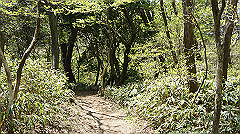 dsc00099_thumb.jpg