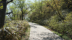 dsc00106_thumb.jpg