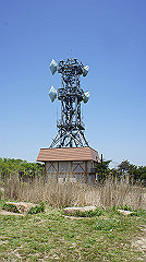 dsc00109_thumb.jpg
