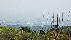 dsc00110_thumb.jpg