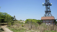 dsc00111_thumb.jpg