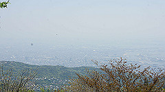 dsc00117_thumb.jpg