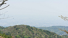 dsc00118_thumb.jpg
