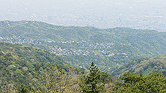 dsc00119_thumb.jpg