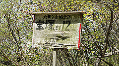 dsc00128_thumb.jpg