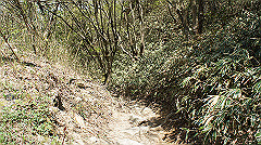 dsc00129_thumb.jpg