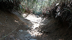 dsc00130_thumb.jpg