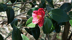 dsc00131_thumb.jpg
