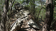 dsc00133_thumb.jpg