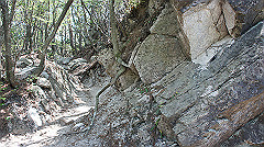 dsc00134_thumb.jpg