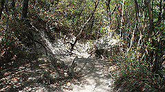 dsc00135_thumb.jpg