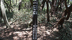 dsc00136_thumb.jpg