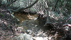 dsc00139_thumb.jpg