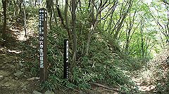 dsc00140_thumb.jpg