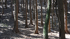 dsc00142_thumb.jpg