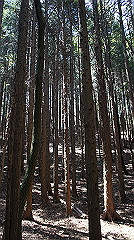 dsc00143_thumb.jpg