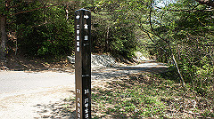 dsc00144_thumb.jpg