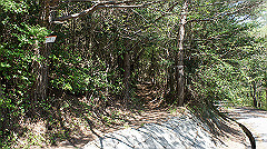 dsc00145_thumb.jpg