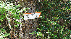 dsc00146_thumb.jpg