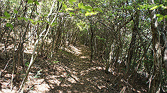 dsc00147_thumb.jpg