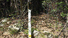 dsc00149_thumb.jpg