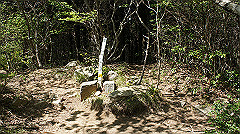 dsc00151_thumb.jpg