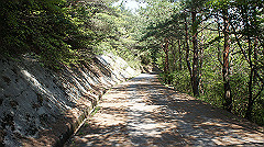 dsc00152_thumb.jpg